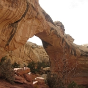 Capitol Reef NP 8